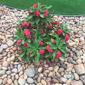 Meet your Posher, Ann